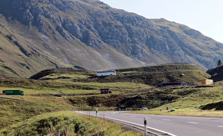 Division in school buses